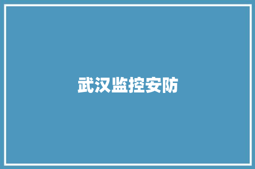 武汉监控安防