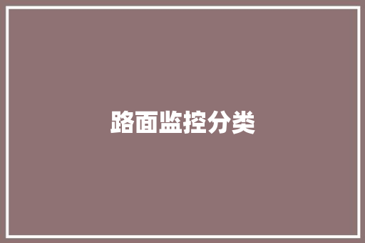 路面监控分类,摄像机品牌前十名。