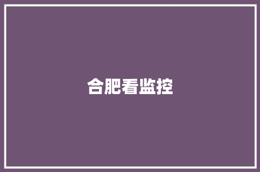 合肥看监控