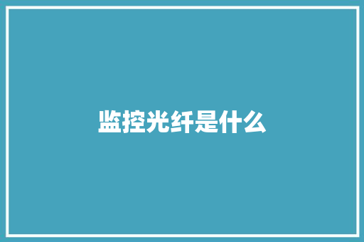 监控光纤是什么