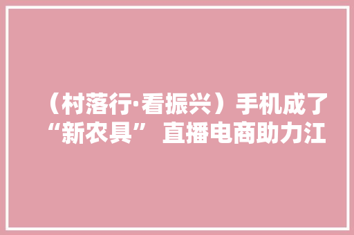 （村落行·看振兴）手机成了“新农具” 直播电商助力江西湖口“土货”走俏