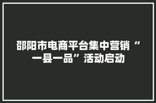 邵阳市电商平台集中营销“一县一品”活动启动