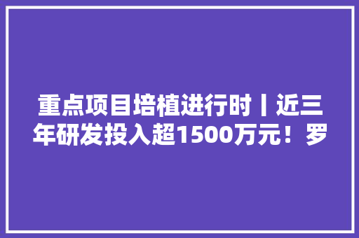 重点项目培植进行时丨近三年研发投入超1500万元！罗定宝捷电子强化立异引领