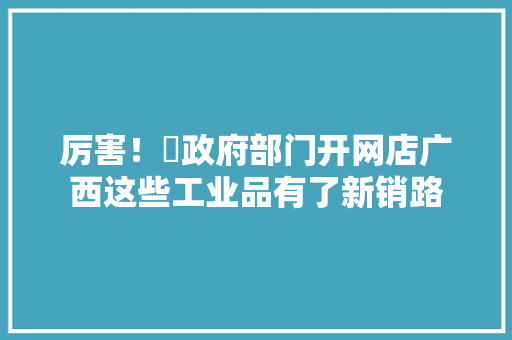 厉害！​政府部门开网店广西这些工业品有了新销路