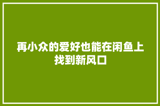 再小众的爱好也能在闲鱼上找到新风口 再小众的爱好也能在闲鱼上找到新风口 人工智能