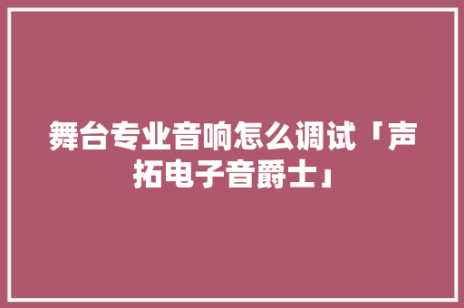 舞台专业音响怎么调试「声拓电子音爵士」