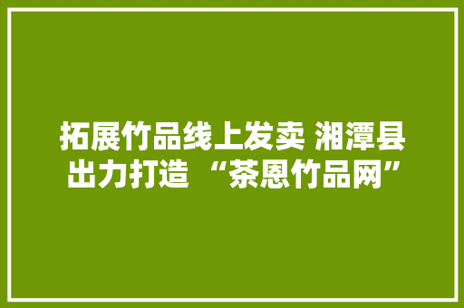 拓展竹品线上发卖 湘潭县出力打造 “茶恩竹品网”