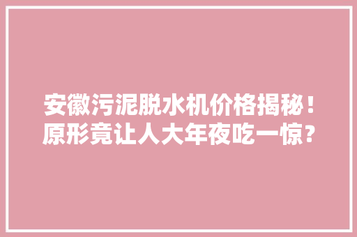 安徽污泥脱水机价格揭秘！原形竟让人大年夜吃一惊？