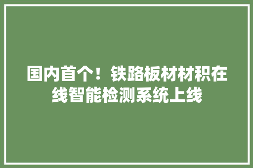 国内首个！铁路板材材积在线智能检测系统上线
