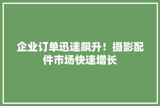 企业订单迅速飙升！摄影配件市场快速增长
