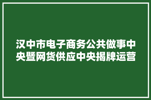 汉中市电子商务公共做事中央暨网货供应中央揭牌运营
