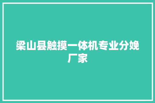 梁山县触摸一体机专业分娩厂家