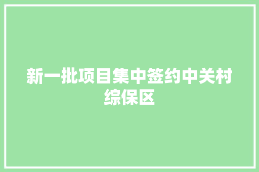 新一批项目集中签约中关村综保区