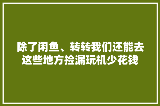 除了闲鱼、转转我们还能去这些地方捡漏玩机少花钱