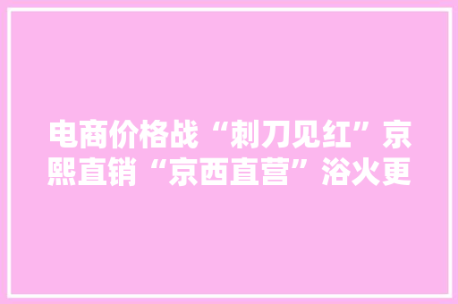 电商价格战“刺刀见红”京熙直销“京西直营”浴火更生