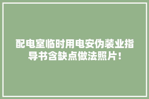 配电室临时用电安伪装业指导书含缺点做法照片！