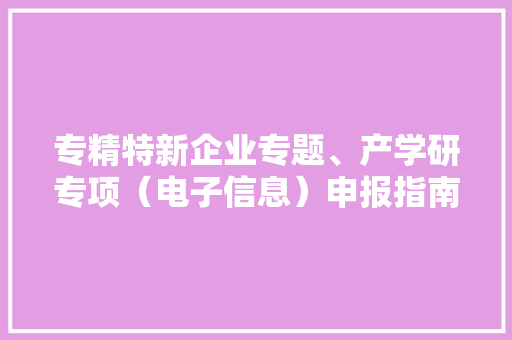 专精特新企业专题、产学研专项（电子信息）申报指南