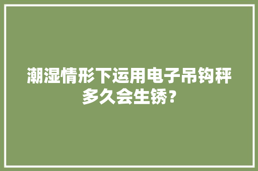 潮湿情形下运用电子吊钩秤多久会生锈？