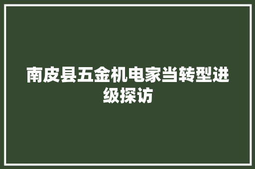 南皮县五金机电家当转型进级探访
