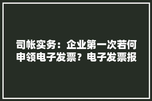 司帐实务：企业第一次若何申领电子发票？电子发票报销若何查重？
