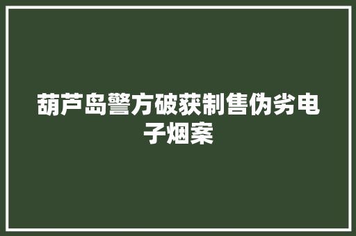 葫芦岛警方破获制售伪劣电子烟案