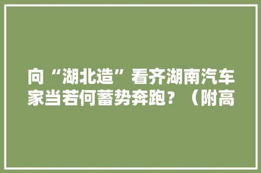 向“湖北造”看齐湖南汽车家当若何蓄势奔跑？（附高校“校花”大年夜赏活动开奖名单）