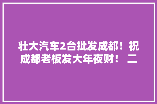 壮大汽车2台批发成都！祝成都老板发大年夜财！ 二手车上热门