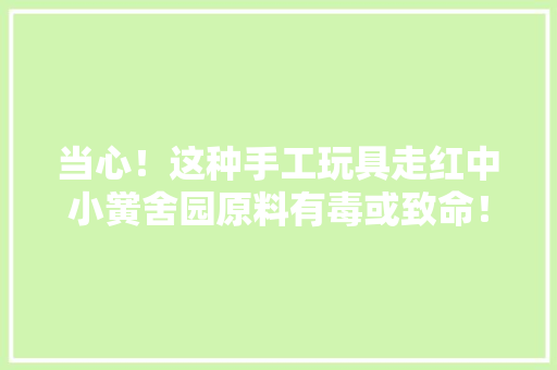 当心！这种手工玩具走红中小黉舍园原料有毒或致命！