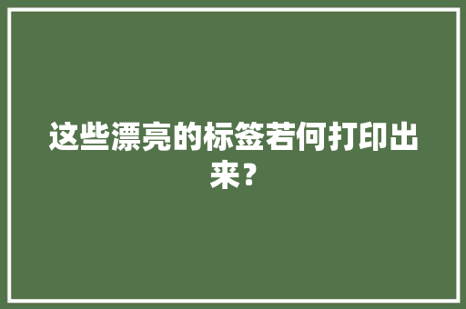 这些漂亮的标签若何打印出来？