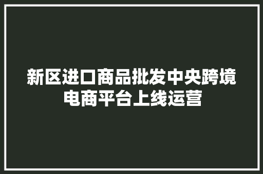 新区进口商品批发中央跨境电商平台上线运营