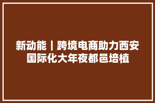 新动能｜跨境电商助力西安国际化大年夜都邑培植
