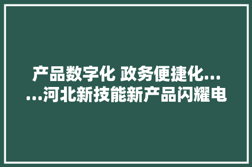 产品数字化 政务便捷化……河北新技能新产品闪耀电博会
