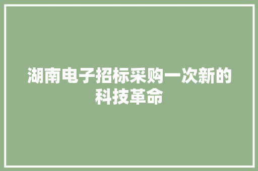 湖南电子招标采购一次新的科技革命