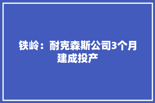 铁岭：耐克森斯公司3个月建成投产
