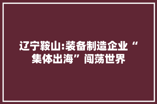 辽宁鞍山:装备制造企业“集体出海”闯荡世界