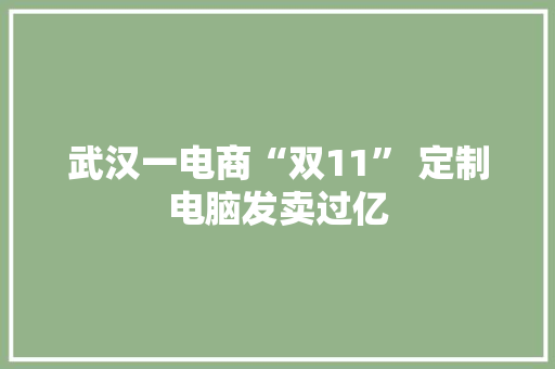 武汉一电商“双11” 定制电脑发卖过亿