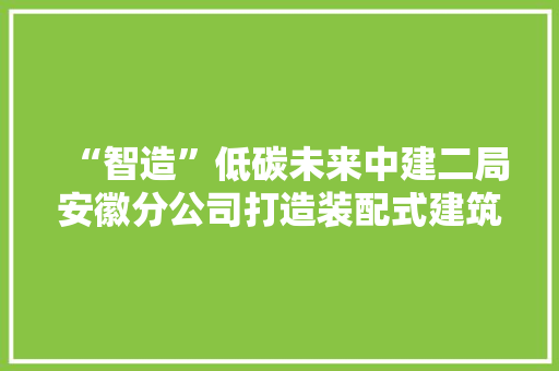“智造”低碳未来中建二局安徽分公司打造装配式建筑“新示范”