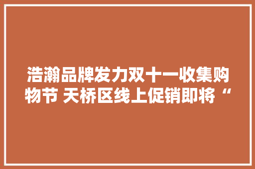 浩瀚品牌发力双十一收集购物节 天桥区线上促销即将“开抢”