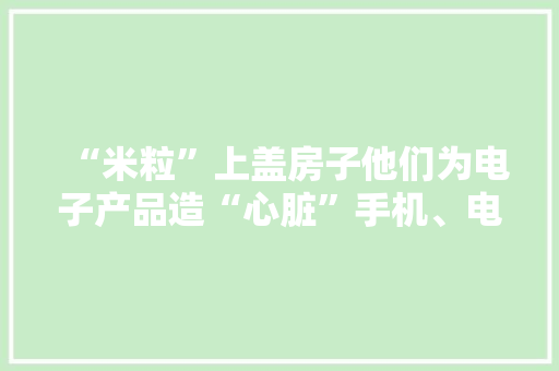 “米粒”上盖房子他们为电子产品造“心脏”手机、电脑都离不开它