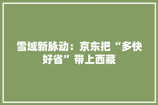 雪域新脉动：京东把“多快好省”带上西藏