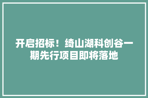 开启招标！绮山湖科创谷一期先行项目即将落地