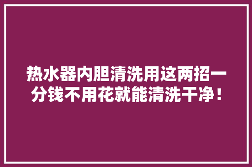 热水器内胆清洗用这两招一分钱不用花就能清洗干净！