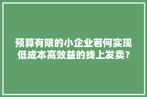 预算有限的小企业若何实现低成本高效益的线上发卖？