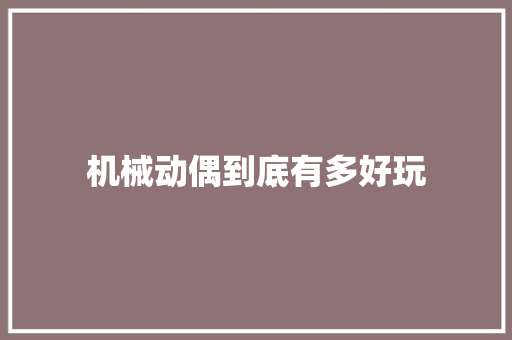 机械动偶到底有多好玩