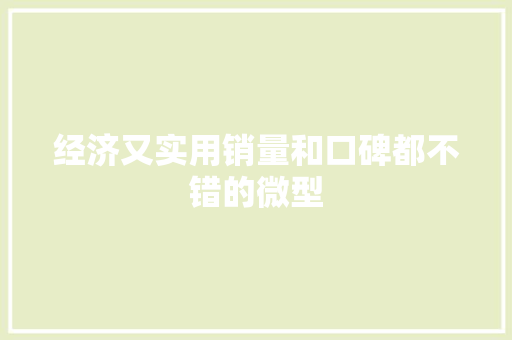 经济又实用销量和口碑都不错的微型 经济又实用销量和口碑都不错的微型 智能科技