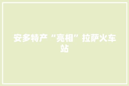 安多特产“亮相”拉萨火车站