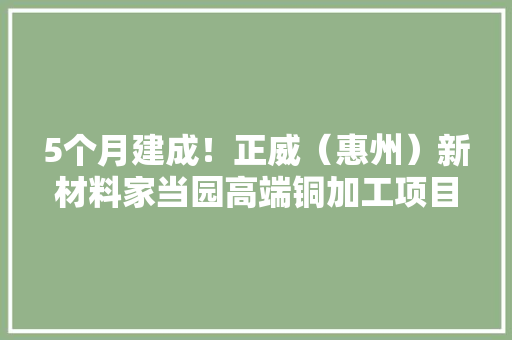 5个月建成！正威（惠州）新材料家当园高端铜加工项目投产
