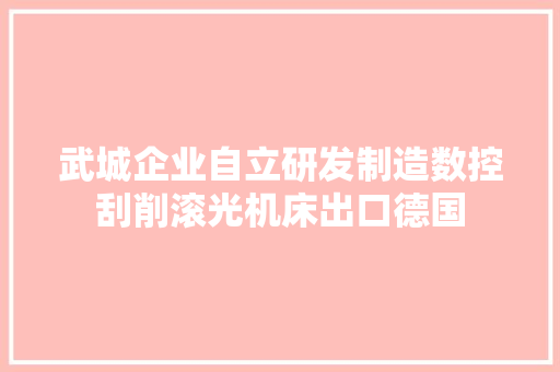 武城企业自立研发制造数控刮削滚光机床出口德国