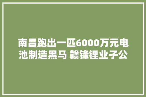 南昌跑出一匹6000万元电池制造黑马 赣锋锂业子公司参投