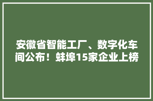 安徽省智能工厂、数字化车间公布！蚌埠15家企业上榜